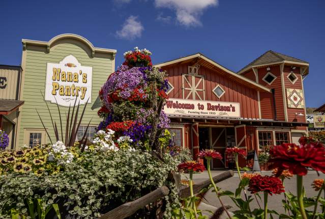 Davison Orchards