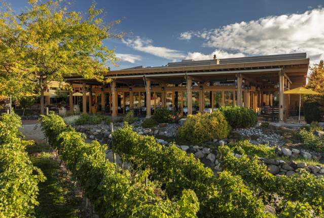 Old Vines Restaurant