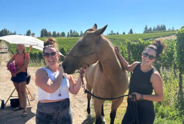 Yoga & Horse Meditation Among the Vines at The View Winery!!