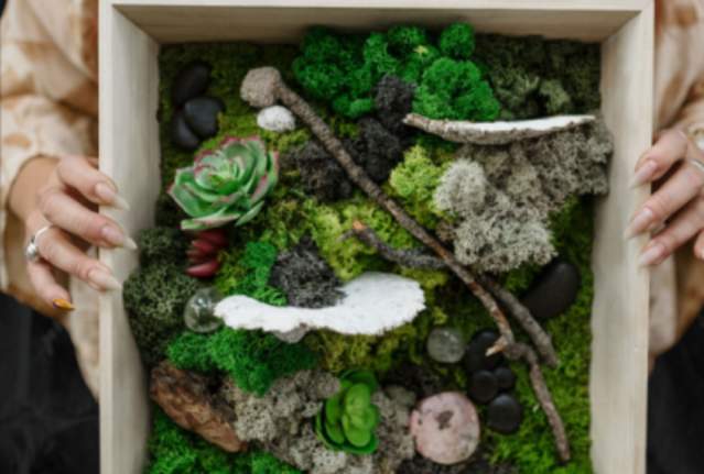 Feel the Love: Moss Art Workshop