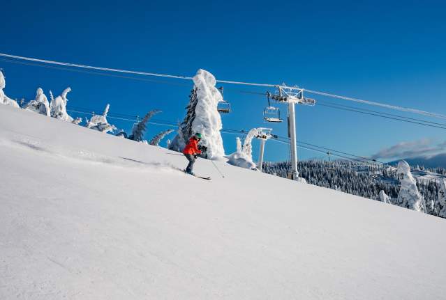 Valentine's Day Free Photos