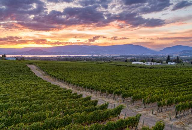 The View Winery