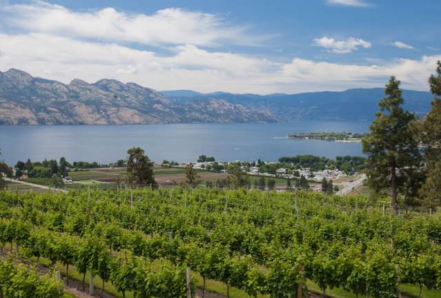 Cheers to Cheese on The Westside Wine Trail