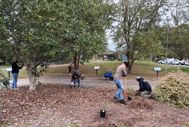 Park Stewardship Days Return with Community Effort at St. Stephens Park