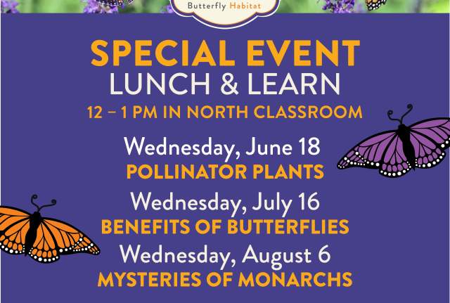 Lunch & Learn: Pollinator Plants