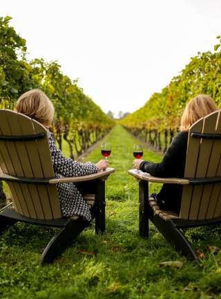 Newport Vineyards