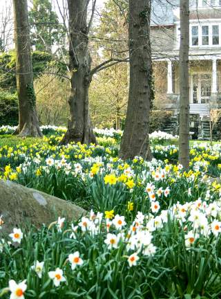 flowers and trees with Blithewold in back