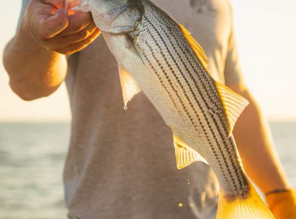 Fishing
