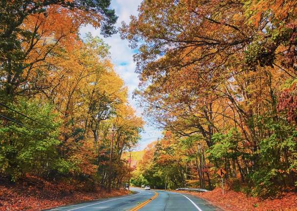 The Ultimate Guide to Experiencing Long Island's Fall Foliage