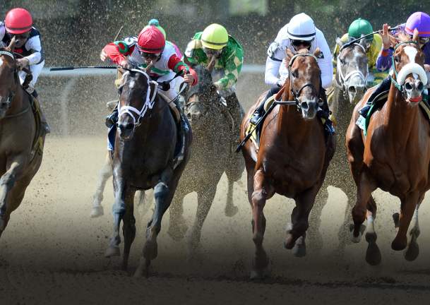 South Shore  Attractions  Belmont Stakes  Bel16_Hero1_1556x800_2.jpg