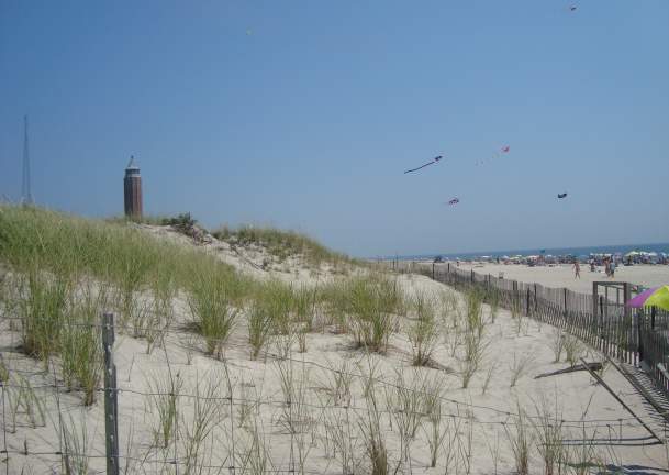 Robert Moses State Park