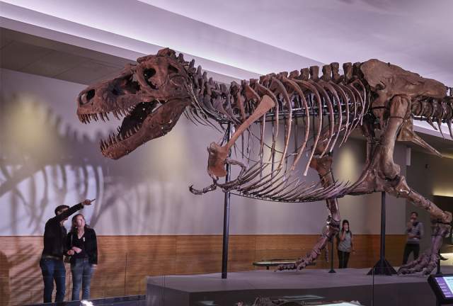 FREE Night at Denver Museum of Nature & Science