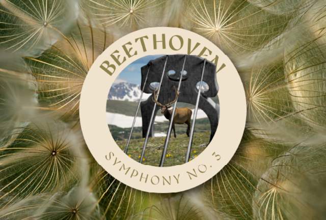 Beethoven Symphony No. 3 "Eroica"