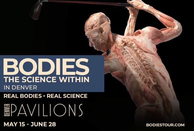 Bodies: The Science Within