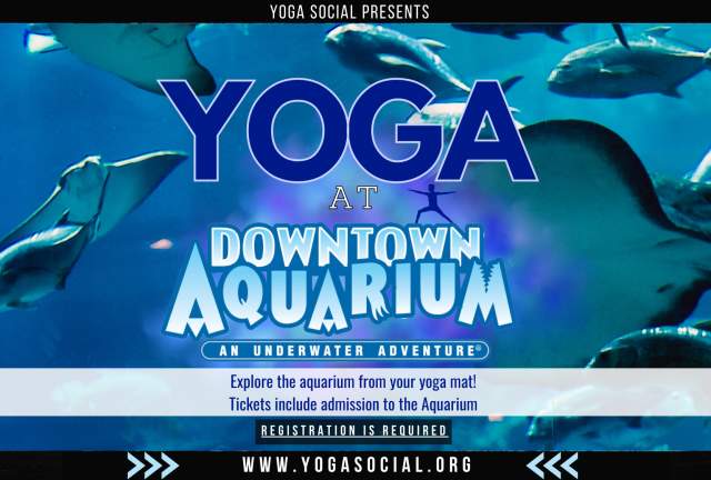 Yoga at the Downtown Aquarium