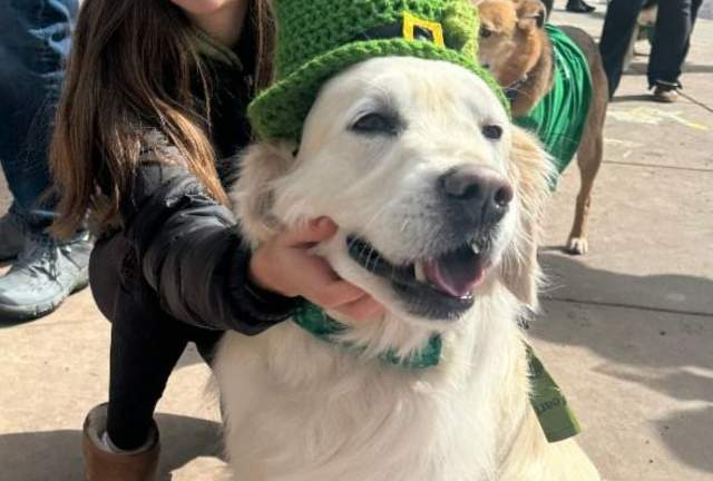 St. Patty’s Day Pet Parade