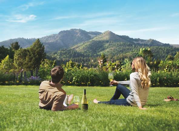 Best Ways to Enjoy Springtime in Sonoma Valley