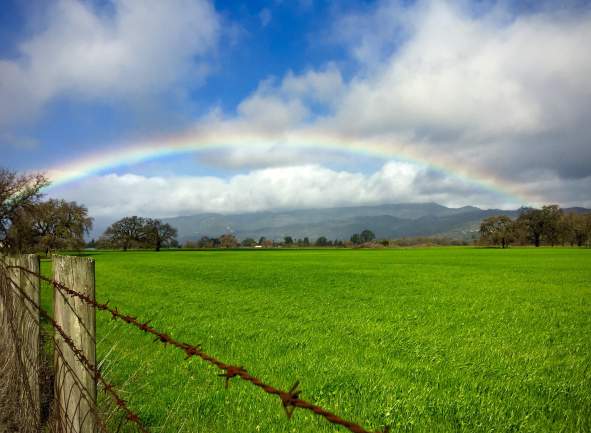 Winter in Sonoma Valley