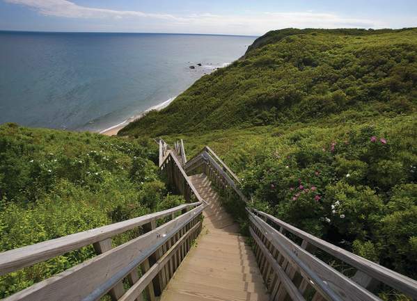 Visitor's Guide to Mohegan Bluffs