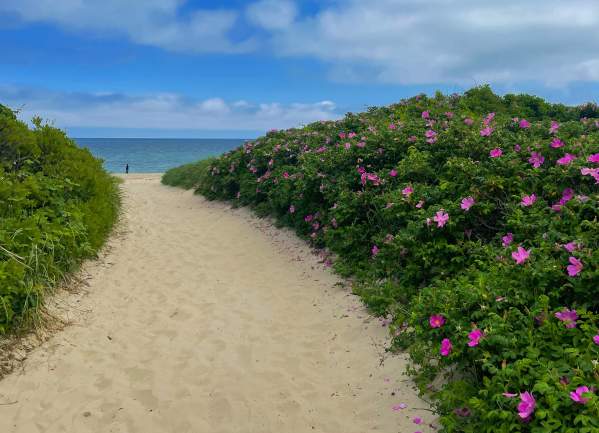 Block Island Summer Beaches Guide: Which Beach Is Right for You?