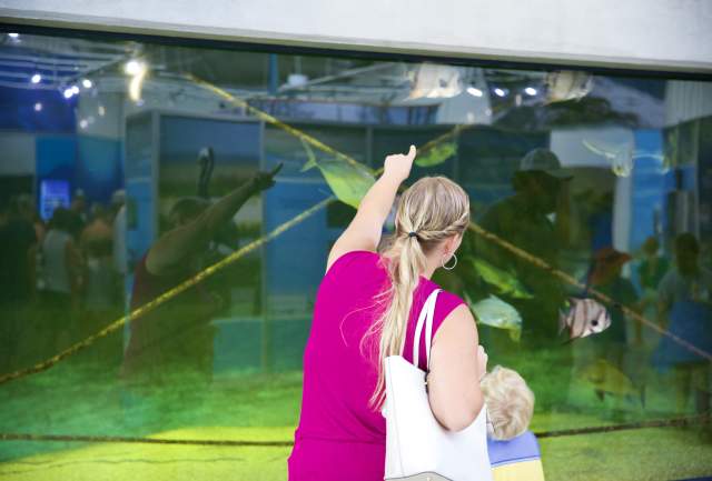 woman and child pointing to a large aquarium