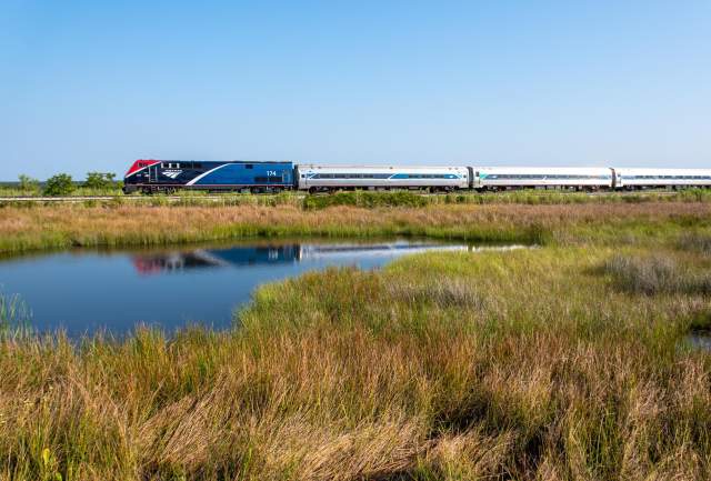 An Amtrak engine and three cars on the rail lines surrounded by marshes and bayous