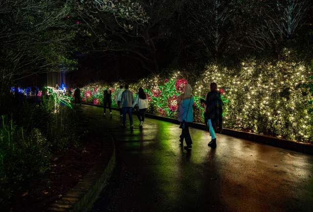 Must-Do Holiday Events & Experiences in Mobile, AL