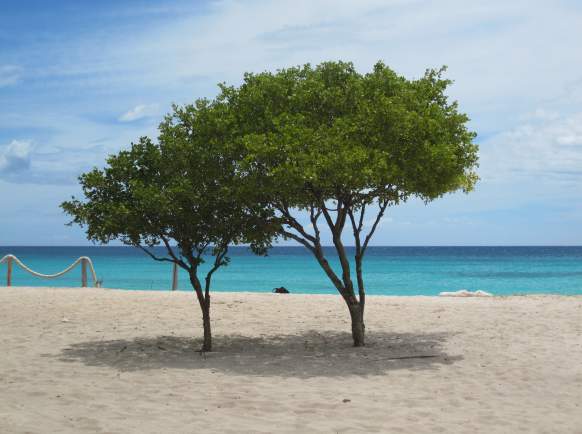 Cabo Rojo