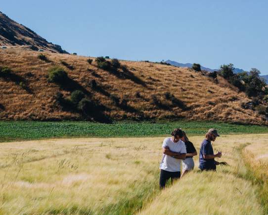 Canyon Brewing: Brewing and Growing its Own Beer to Help Lower its Carbon Footprint