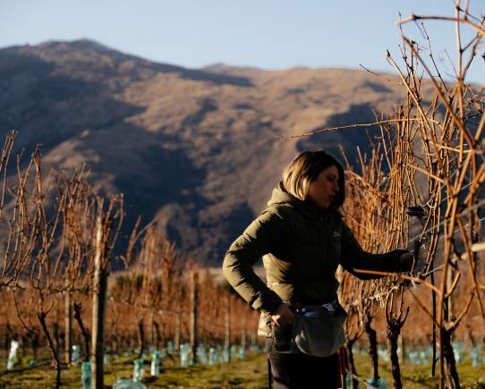 Meet Anika, a Gibbston Winemaker with a Passion for Regenerating Queenstown’s Environment