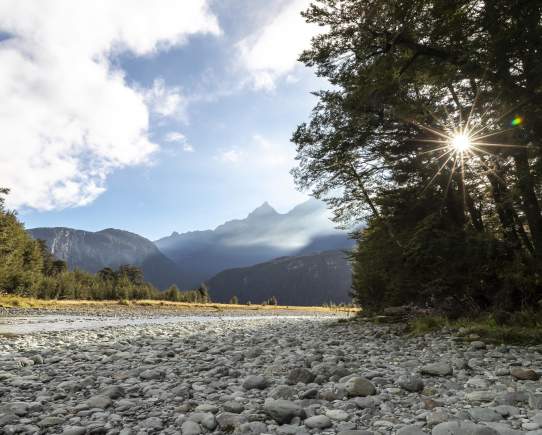 Explore Te Wāhipounamu UNESCO Heritage Area near Glenorchy