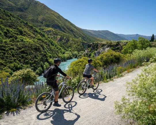 Top Tips For Planning Your Perfect Queenstown Bike Holiday