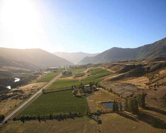 Where to Stay in Gibbston