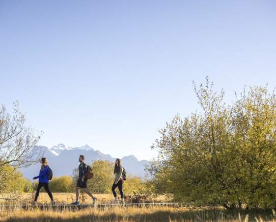 Glenorchy Walks & Hikes