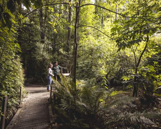 Kiwi Park: The Journey from Tip to Treasure