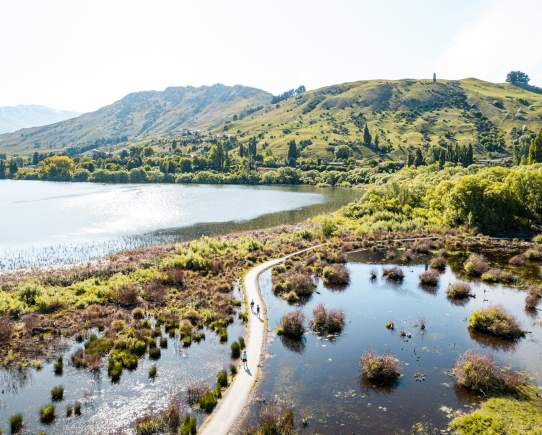 Meet the Whakatipu Wildlife Trust – Bringing Biodiversity Back to Queenstown