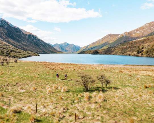 Your Guide to Queenstown Walks & Hikes