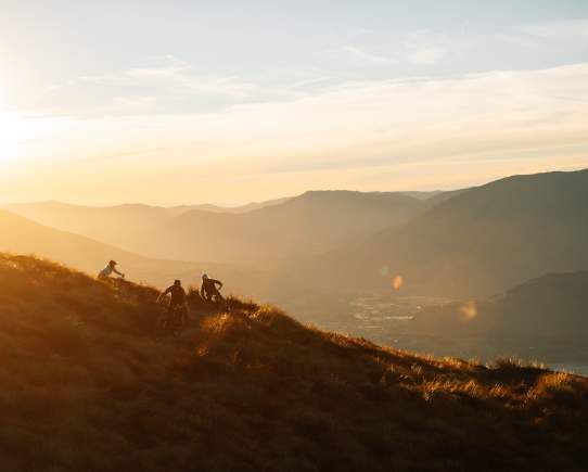 Queenstown's Best Mountain Biking Adventures