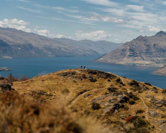 Queenstown: A Region Travelling to a Thriving Future