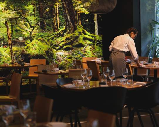Meet the Chefs Behind Some of Queenstown's Top Restaurants
