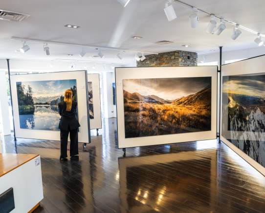Queenstown Art Trail