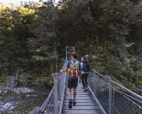 Routeburn Falls Hut Day Walk