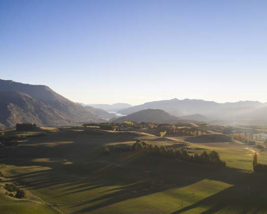 Royalburn Station: Paddock-To-Plate Regenerative Farming