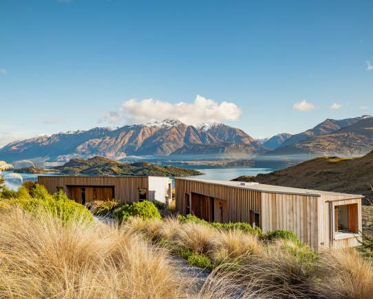The Ripple Effect of Regeneration at Aro Hā