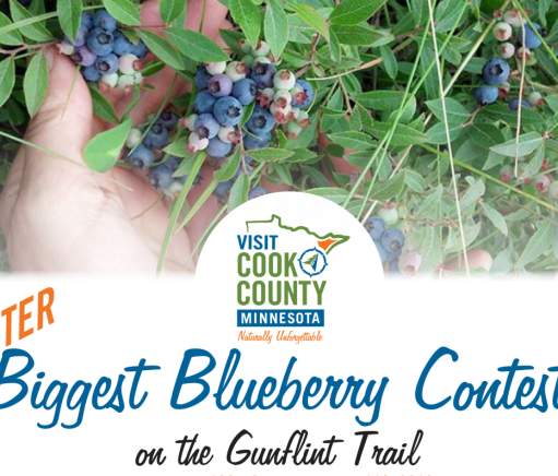 The Gunflint Trail's Biggest Blueberry Contest