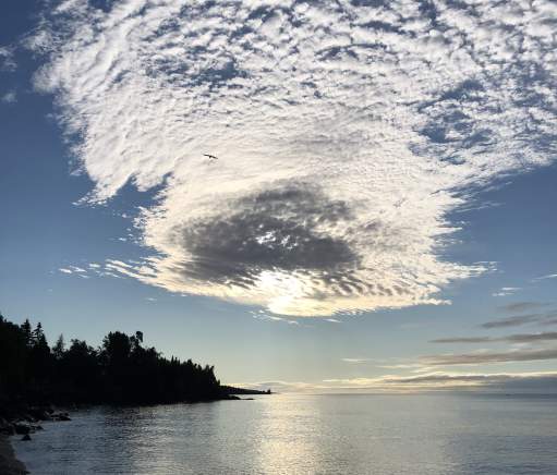 Worship Services in Cook County