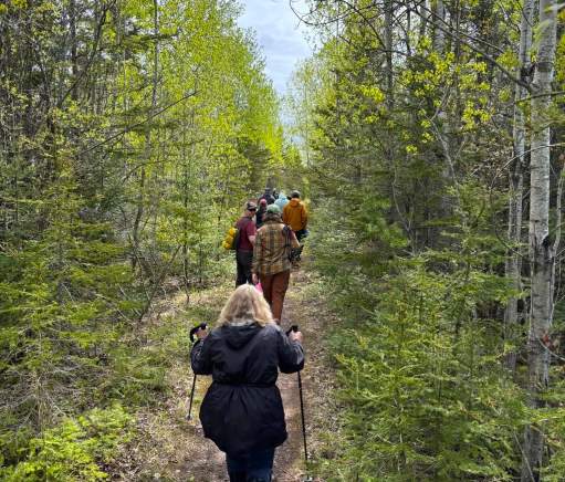 Friends of the Superior National Forest Community Hike