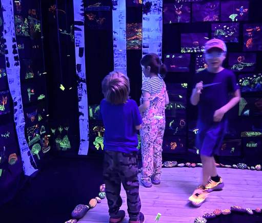 North Shore Luminescence Glow Show