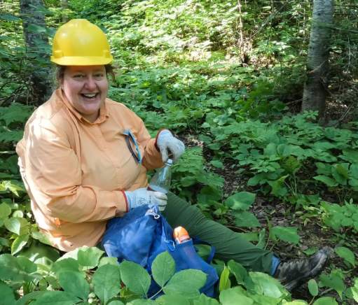 Jo Swanson – Many Hands, One Forest: Caring for the Superior National Forest