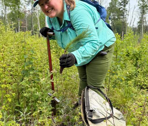 Jo Swanson – Many Hands, One Forest: Caring for the Superior National Forest